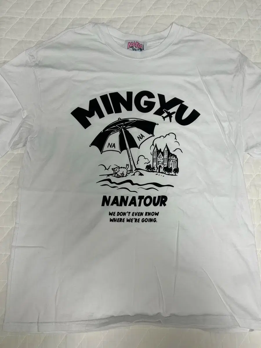 Seventeen Jeonghan Nana Tour T-shirt M Italy version | Bunjang Global